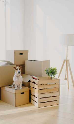 residential apartment moving moving movers foreman